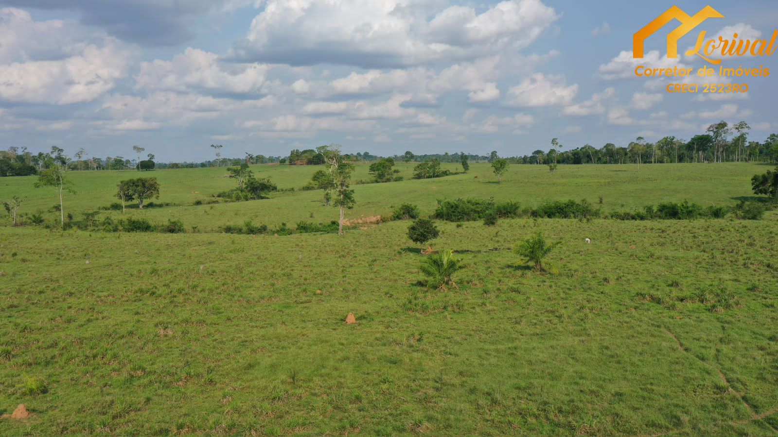 Fazenda à venda, 4580000m² - Foto 14