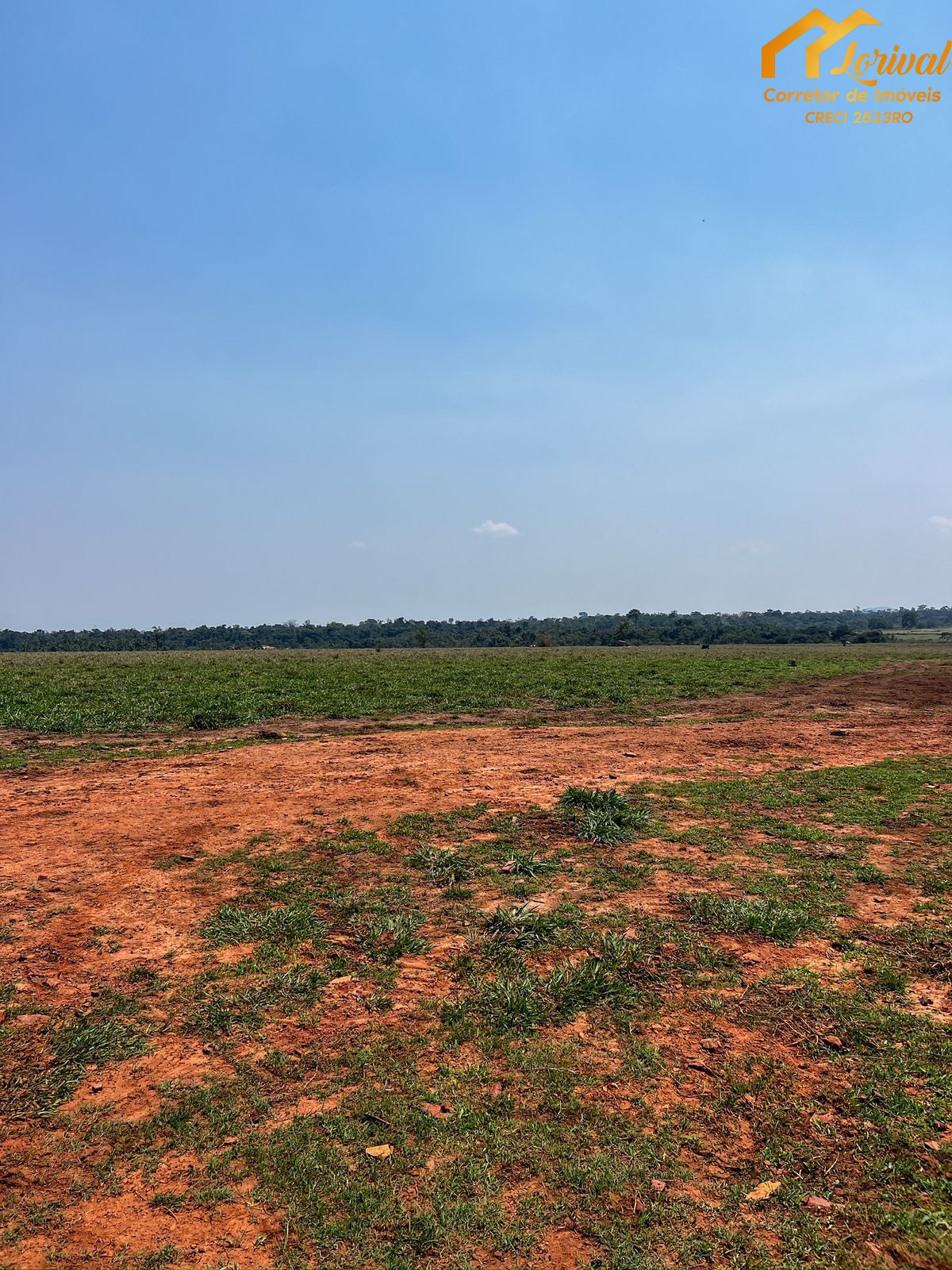 Fazenda à venda, 8240000m² - Foto 6