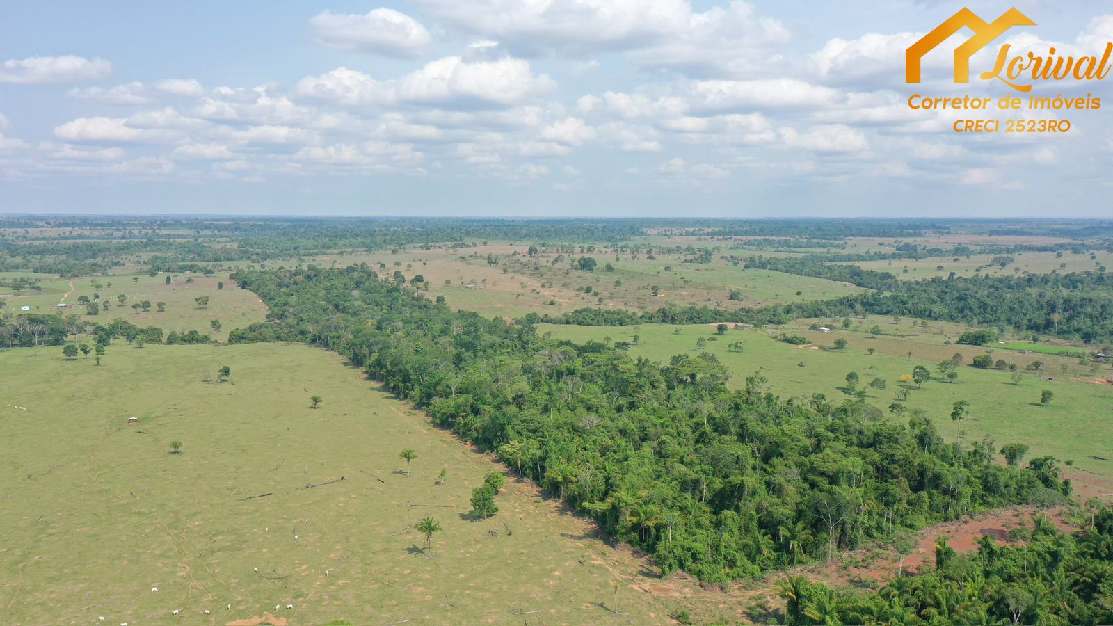 Fazenda à venda, 2040000m² - Foto 9