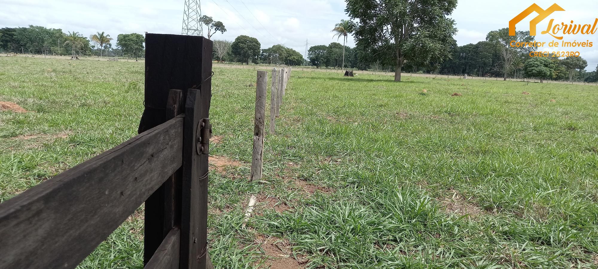 Fazenda à venda com 2 quartos, 157300m² - Foto 28