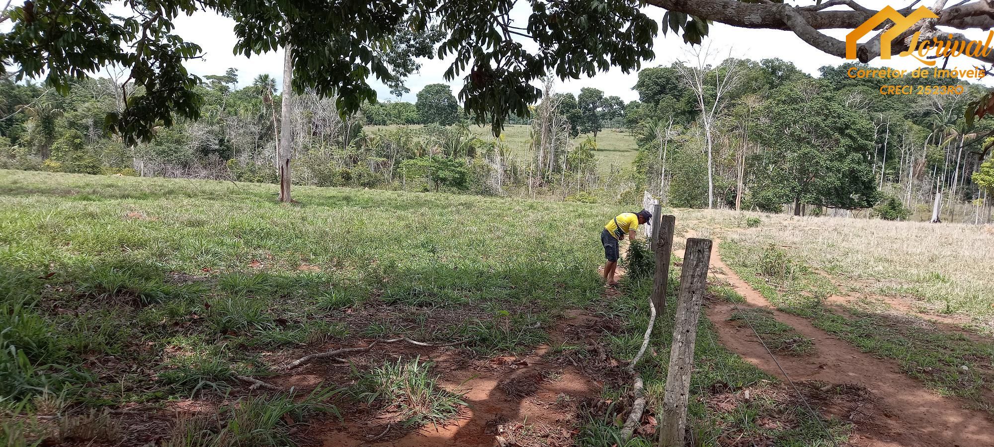 Fazenda à venda com 2 quartos, 157300m² - Foto 35