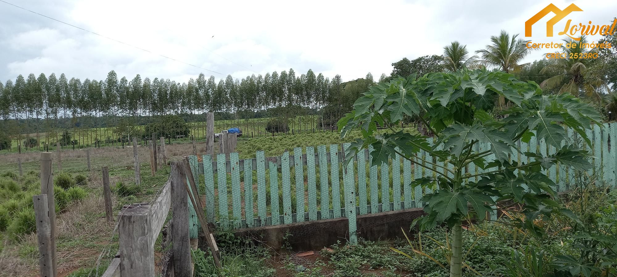 Fazenda à venda com 2 quartos, 1573000000m² - Foto 7