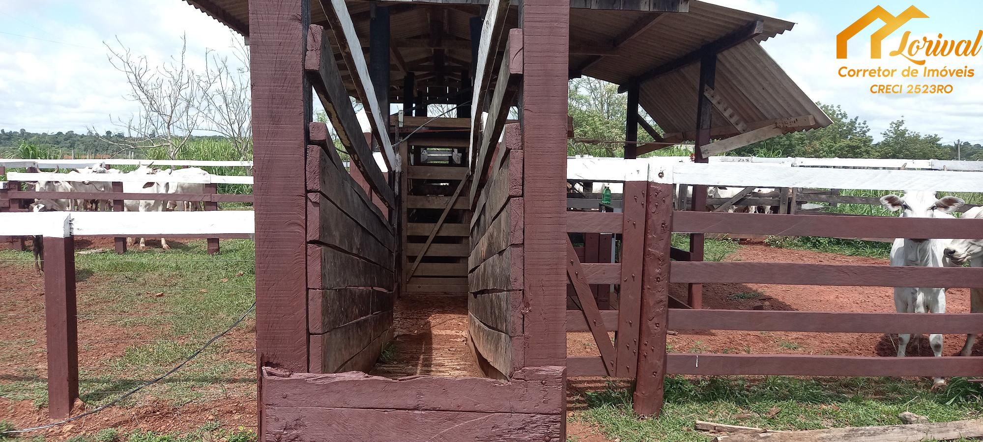 Sítio, 3 quartos, 242000 hectares - Foto 23