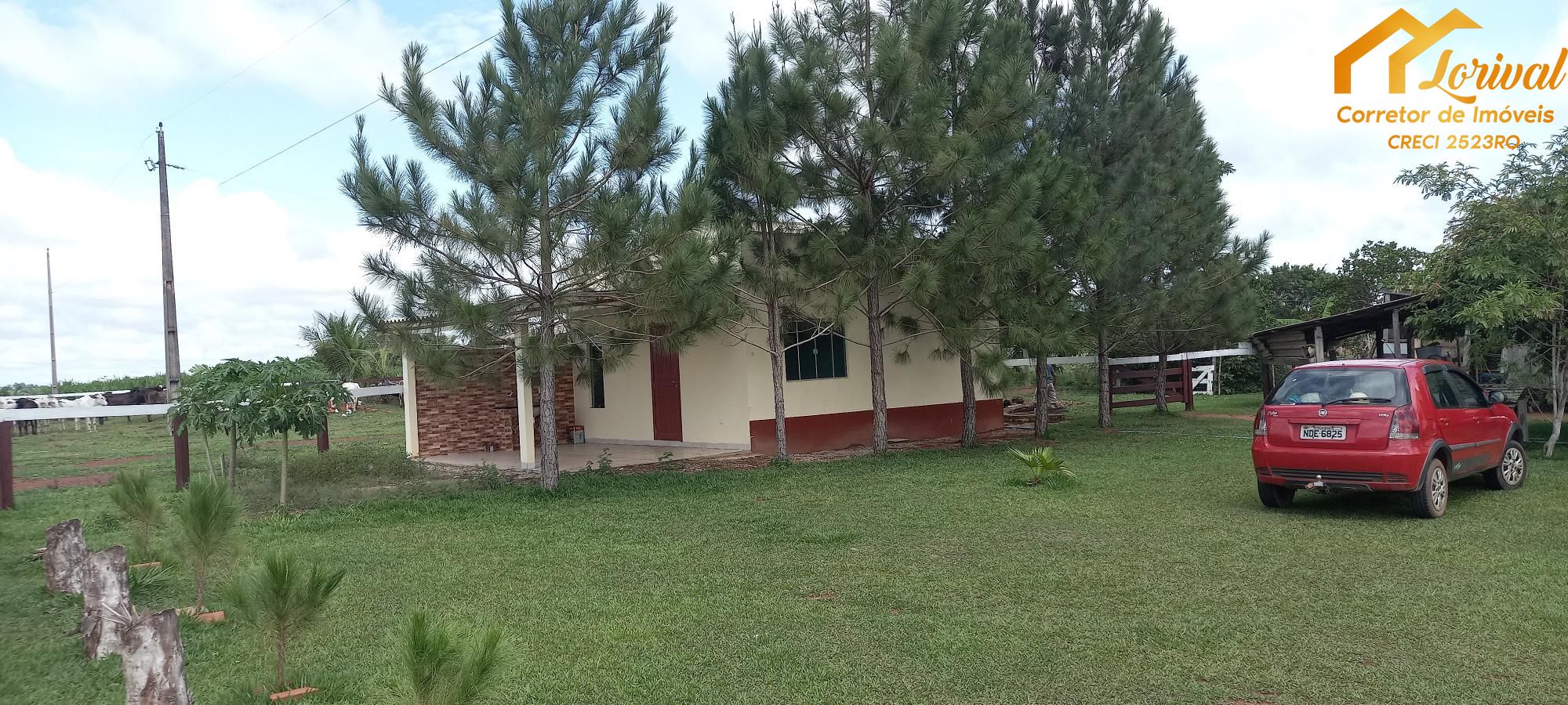 Sítio, 3 quartos, 242000 hectares - Foto 9