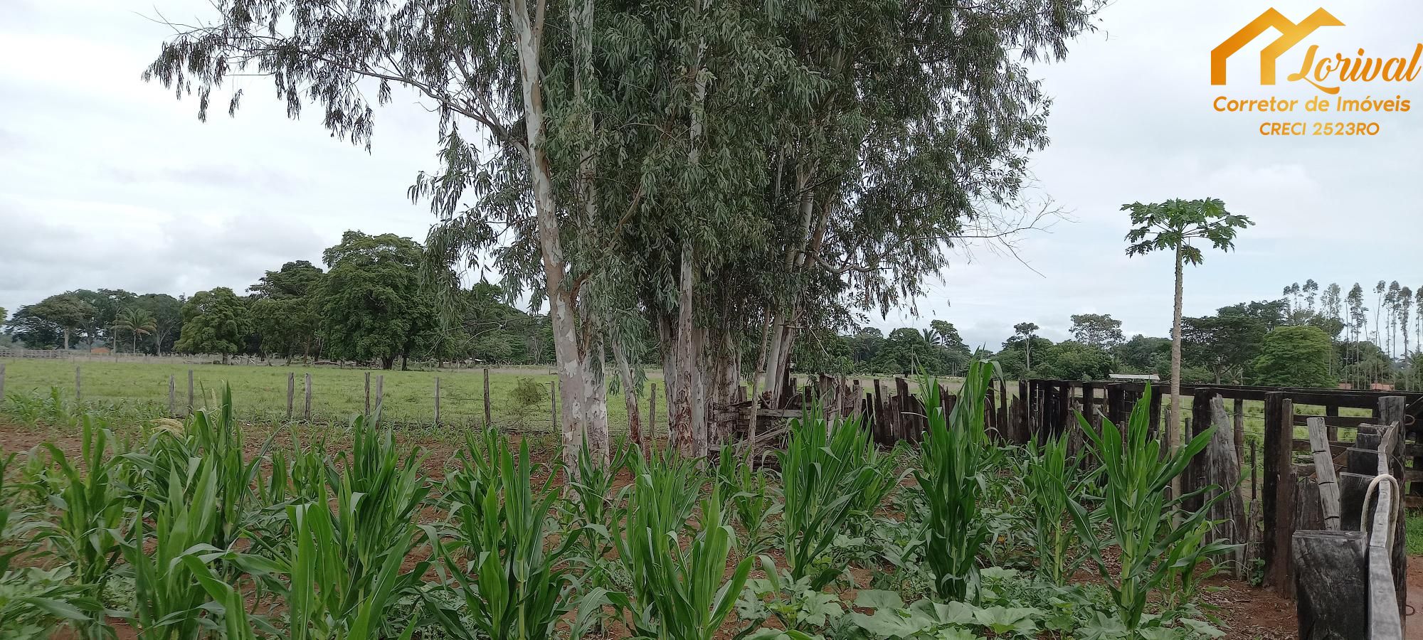 Fazenda à venda com 2 quartos, 157300m² - Foto 20