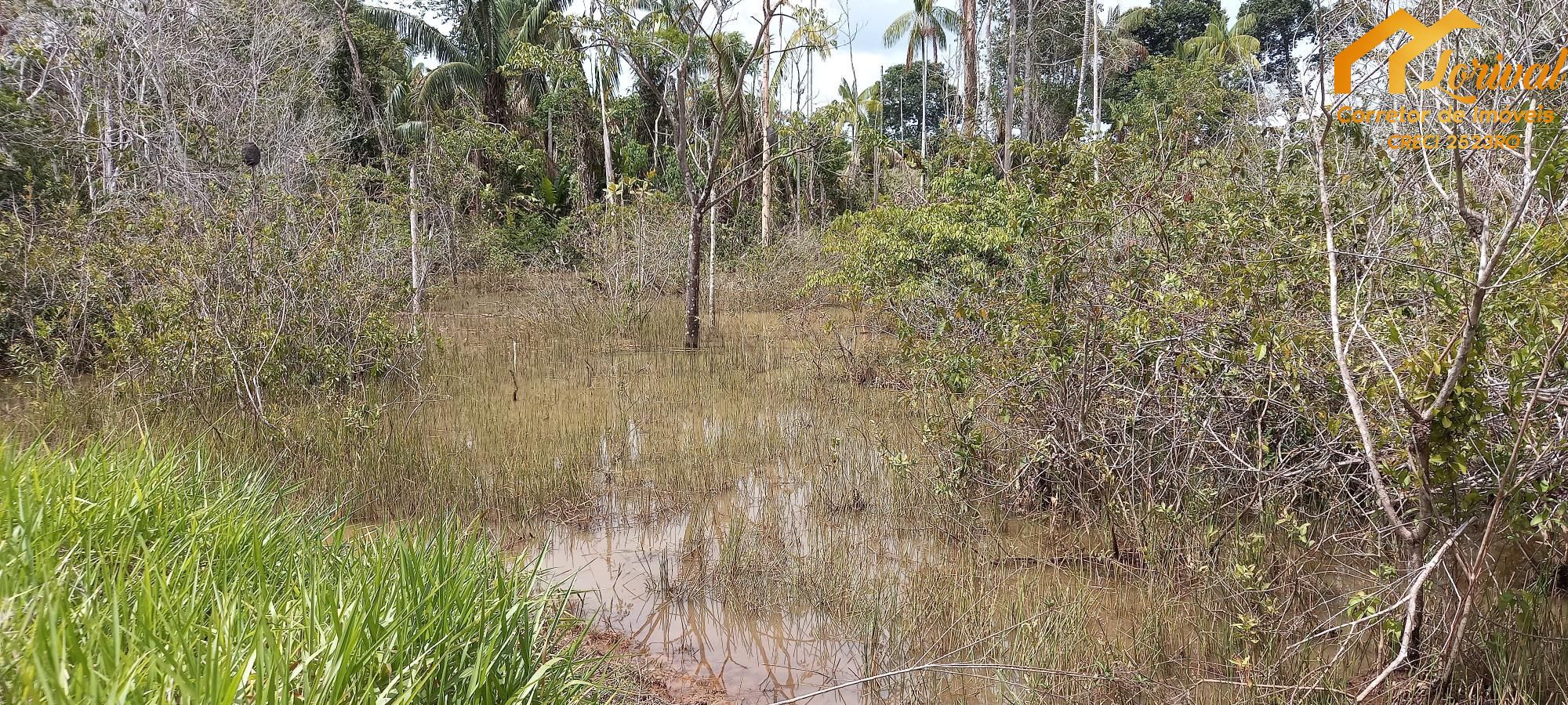 Fazenda à venda com 2 quartos, 157300m² - Foto 36