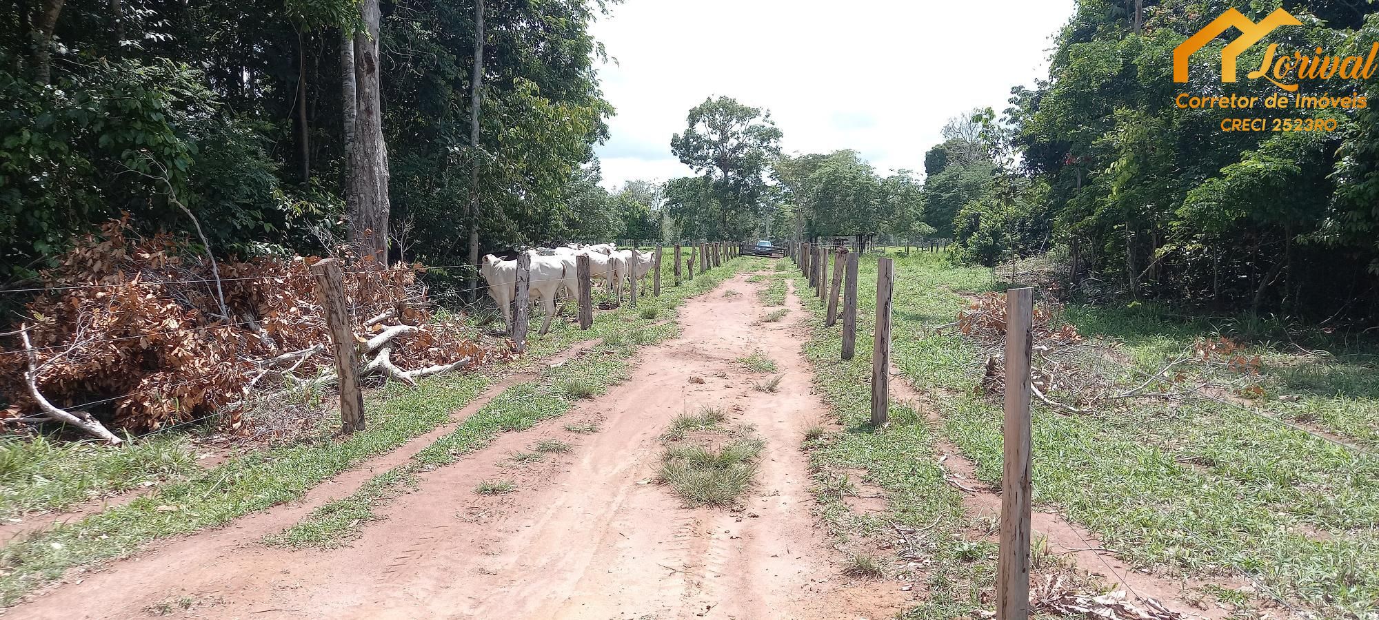 Sítio, 3 quartos, 242000 hectares - Foto 38