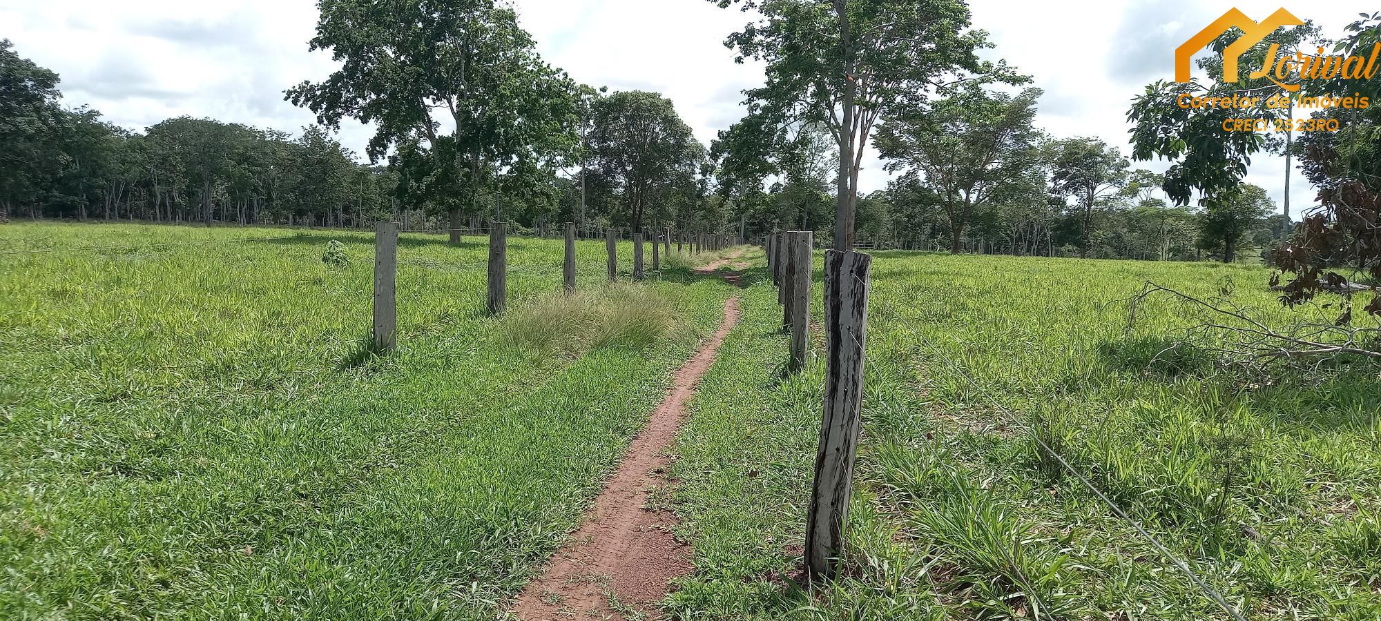 Sítio, 3 quartos, 242000 hectares - Foto 33