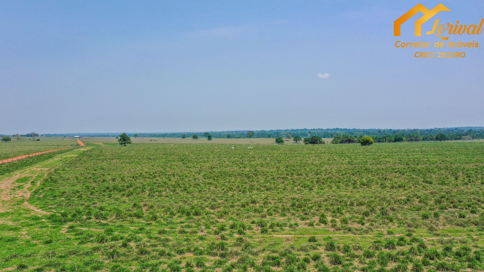 Fazenda à venda, 8240000m² - Foto 16