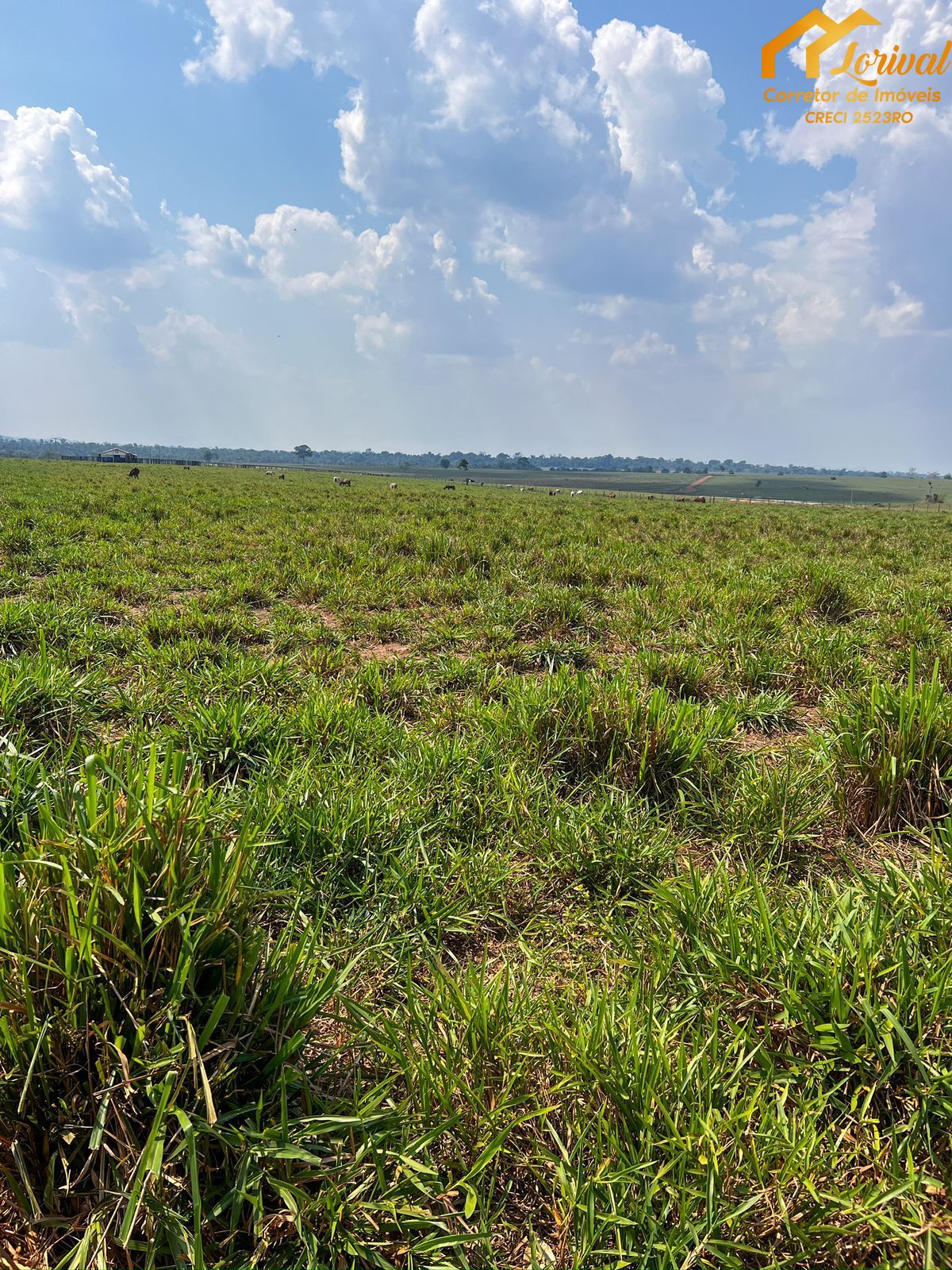 Fazenda à venda, 82400000000m² - Foto 2