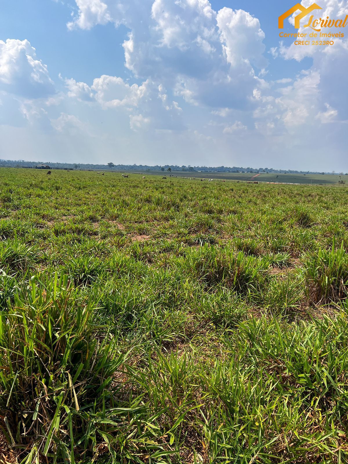 Fazenda à venda, 8240000m² - Foto 2