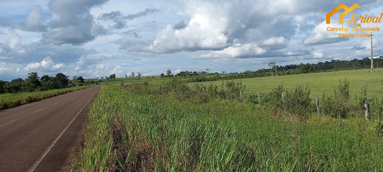 Fazenda-Sítio-Chácara, 242 hectares - Foto 4