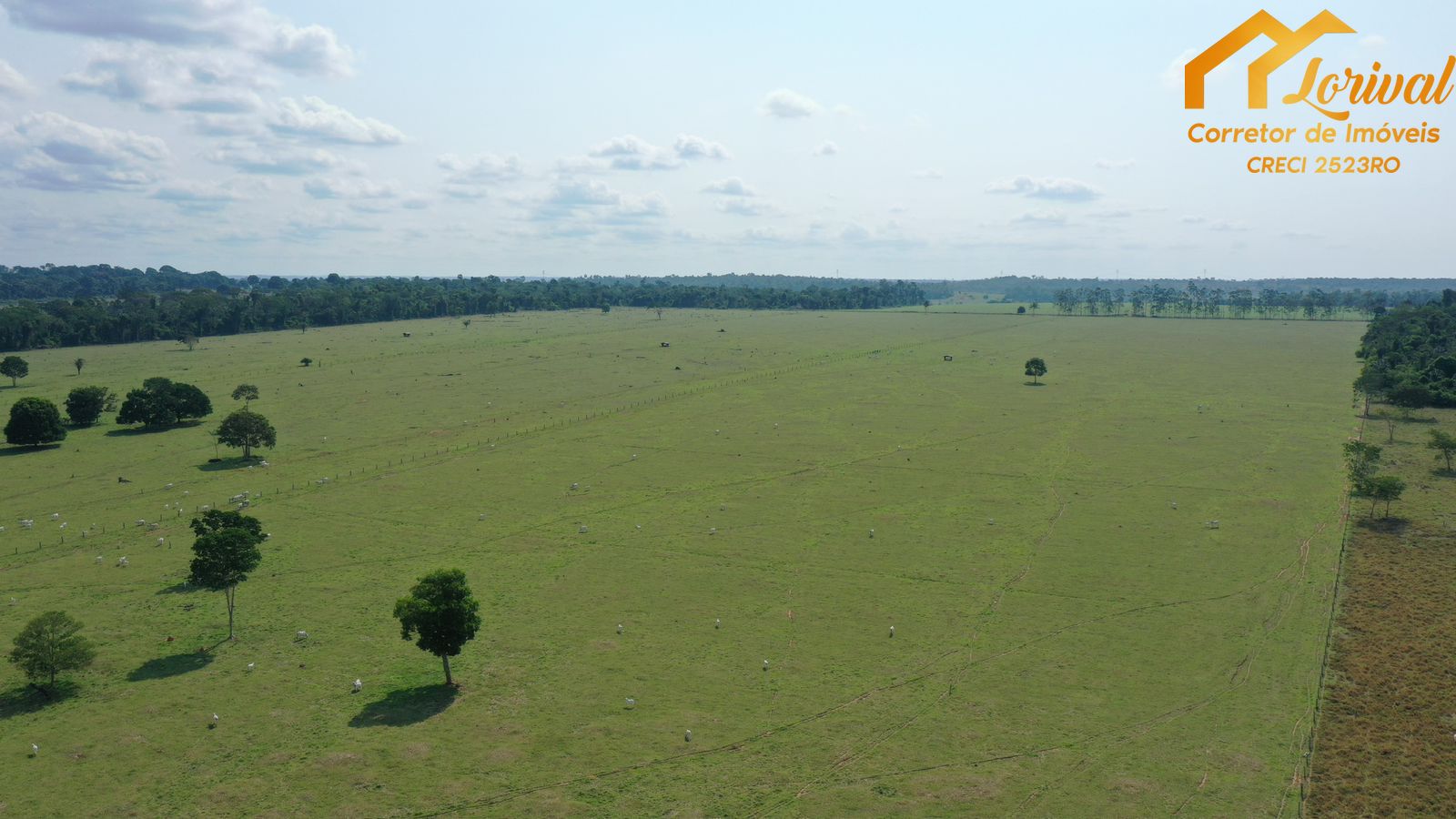 Fazenda à venda, 2040000m² - Foto 19