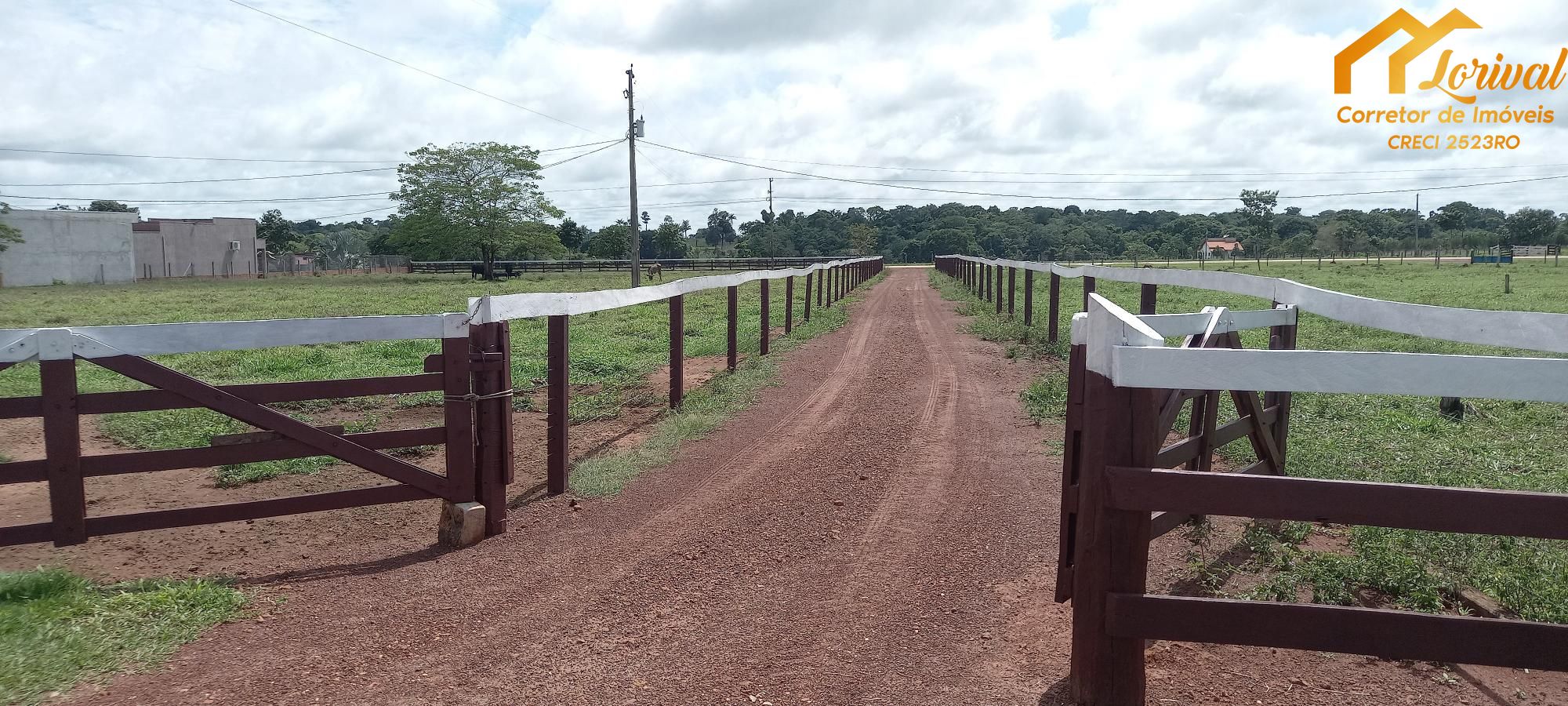 Sítio, 3 quartos, 242000 hectares - Foto 5