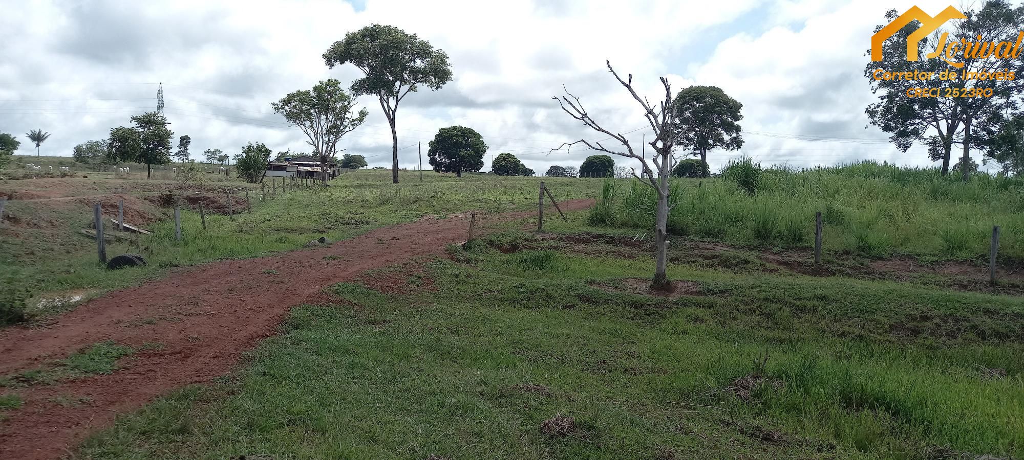 Sítio, 3 quartos, 242000 hectares - Foto 27