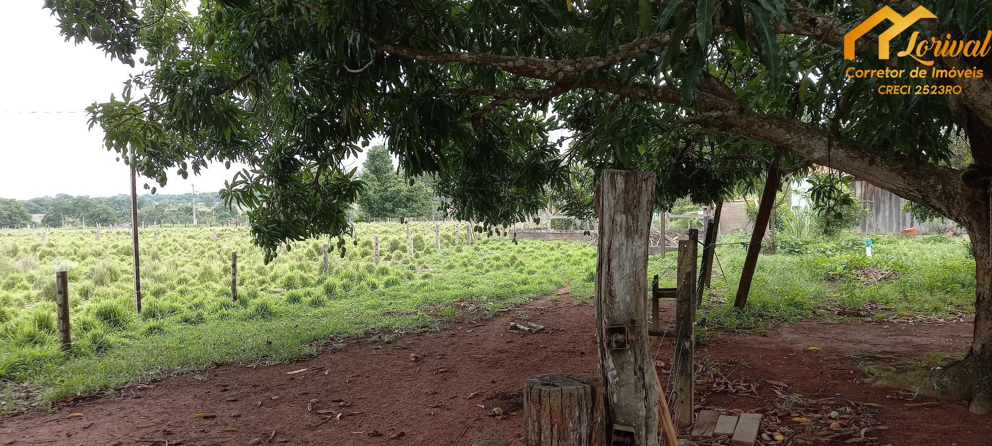 Fazenda à venda com 2 quartos, 157300m² - Foto 18