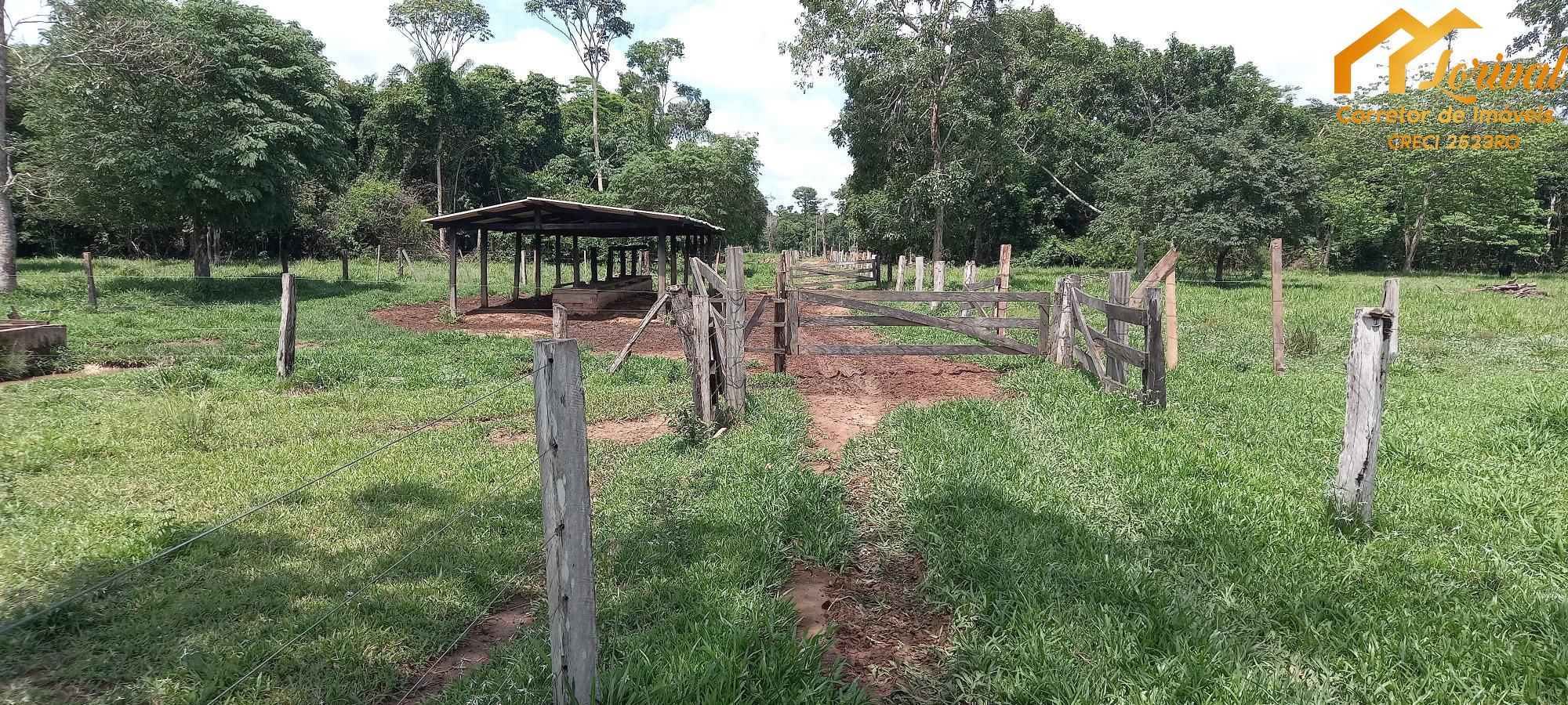 Sítio, 3 quartos, 242000 hectares - Foto 34