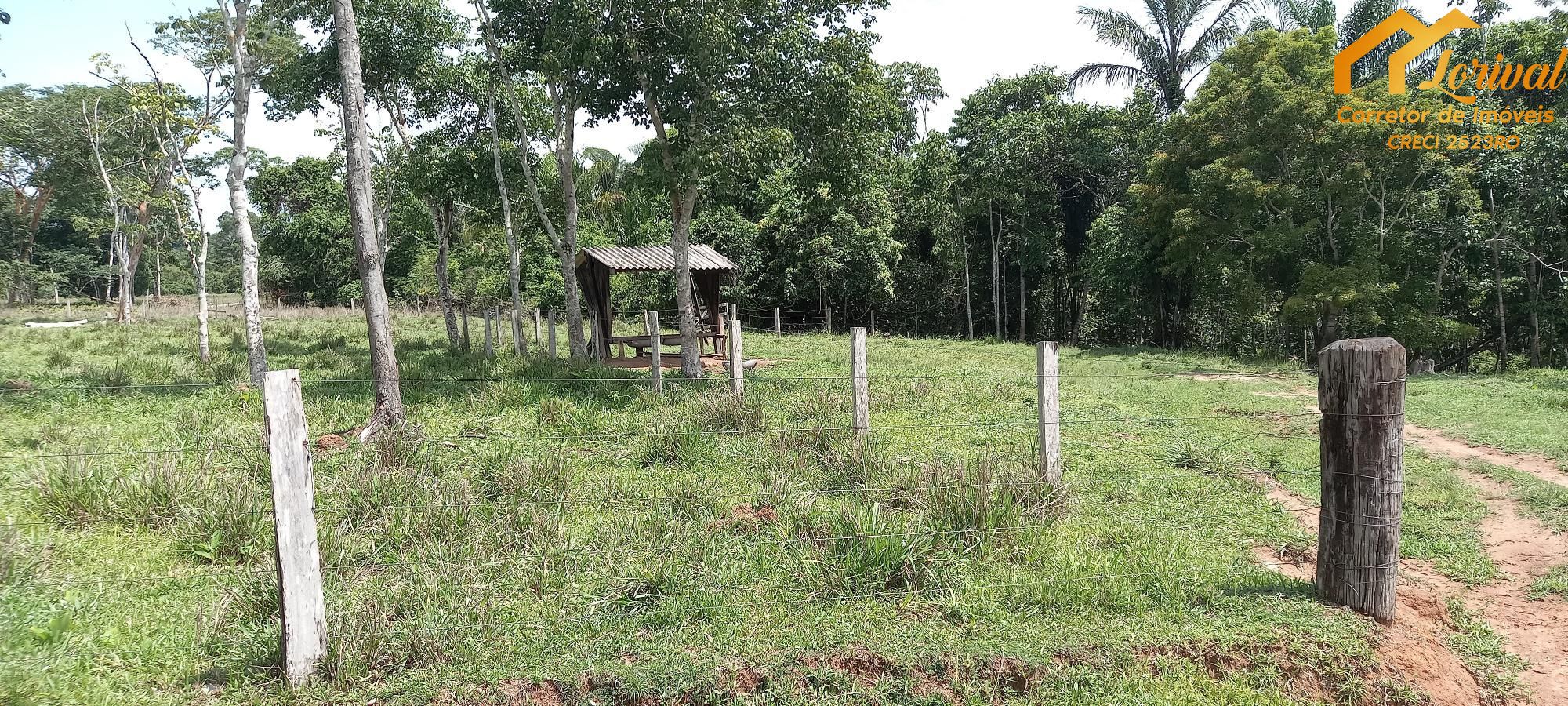 Sítio, 3 quartos, 242000 hectares - Foto 31