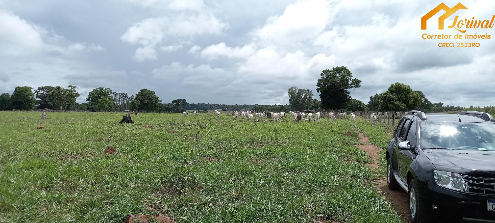 Fazenda à venda com 2 quartos, 157300m² - Foto 29