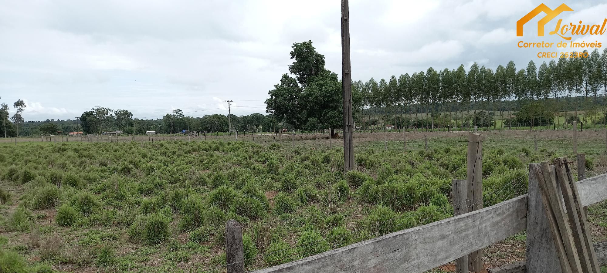 Fazenda à venda com 2 quartos, 157300m² - Foto 8