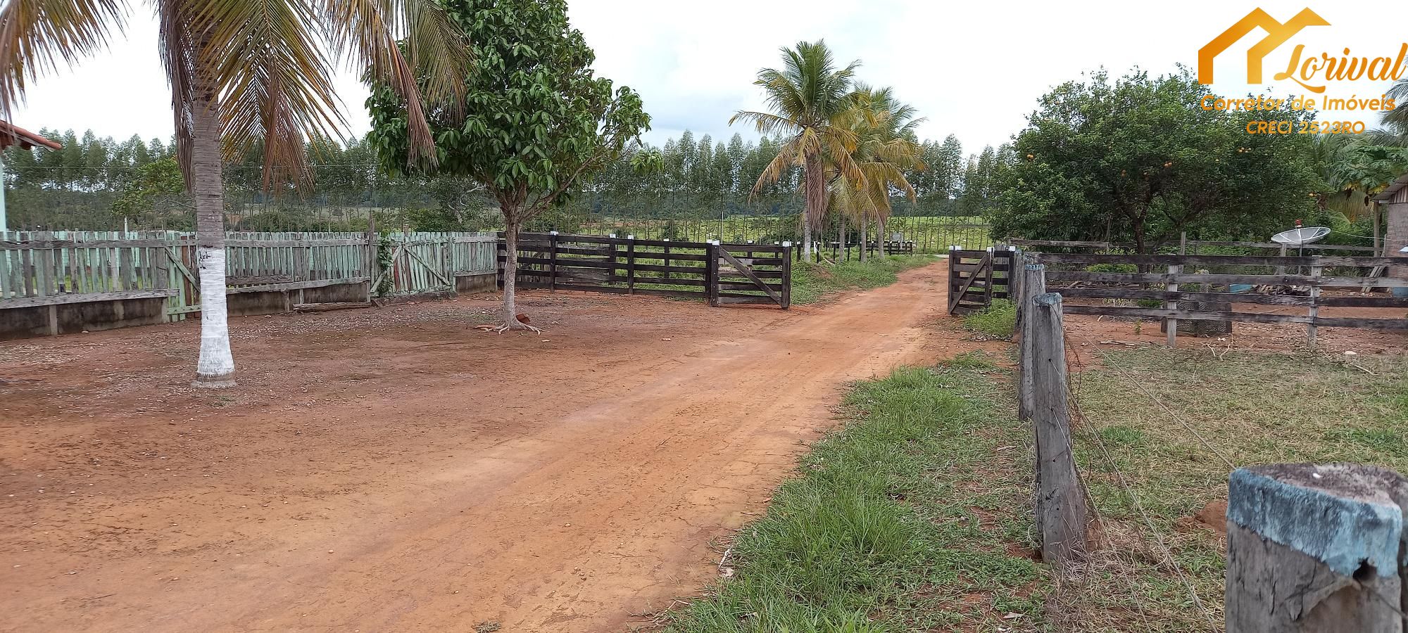 Fazenda à venda com 2 quartos, 157300m² - Foto 4