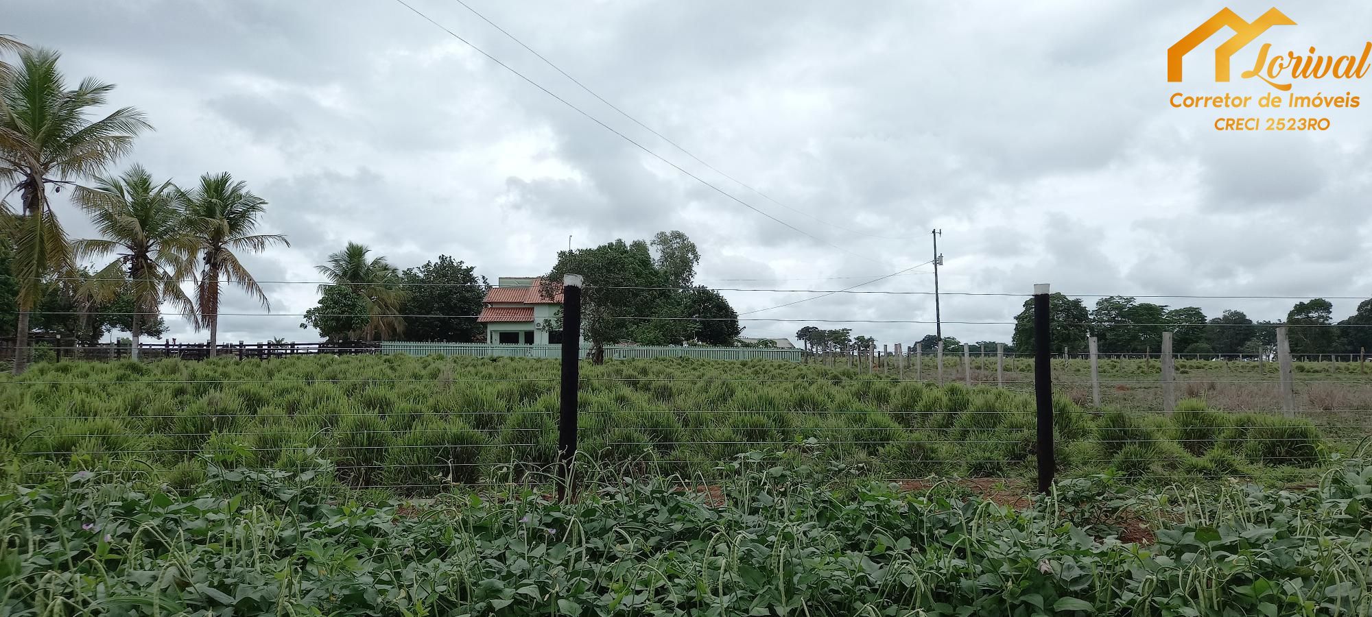 Fazenda à venda com 2 quartos, 157300m² - Foto 3