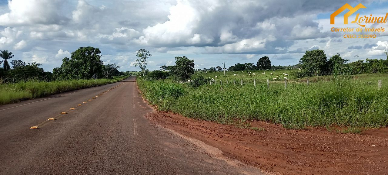 Fazenda-Sítio-Chácara, 242 hectares - Foto 3