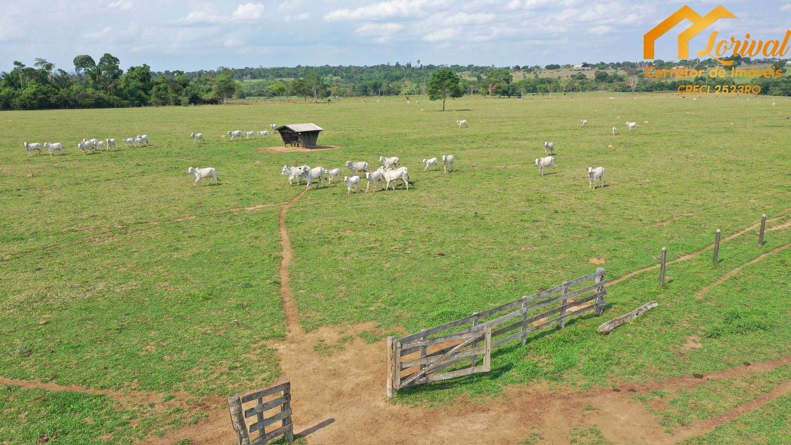 Fazenda à venda, 2040000m² - Foto 6