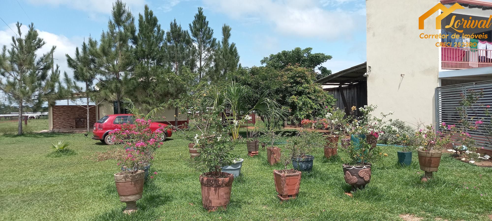 Sítio, 3 quartos, 242000 hectares - Foto 21