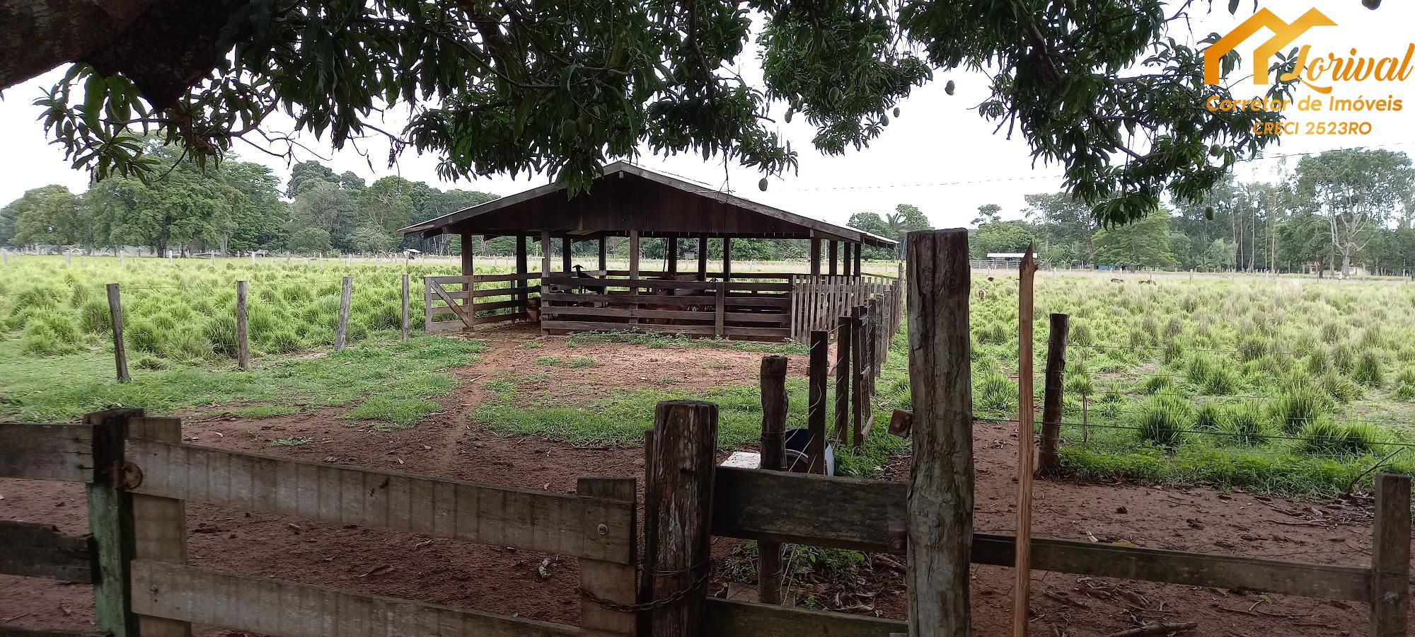 Fazenda à venda com 2 quartos, 1573000000m² - Foto 17