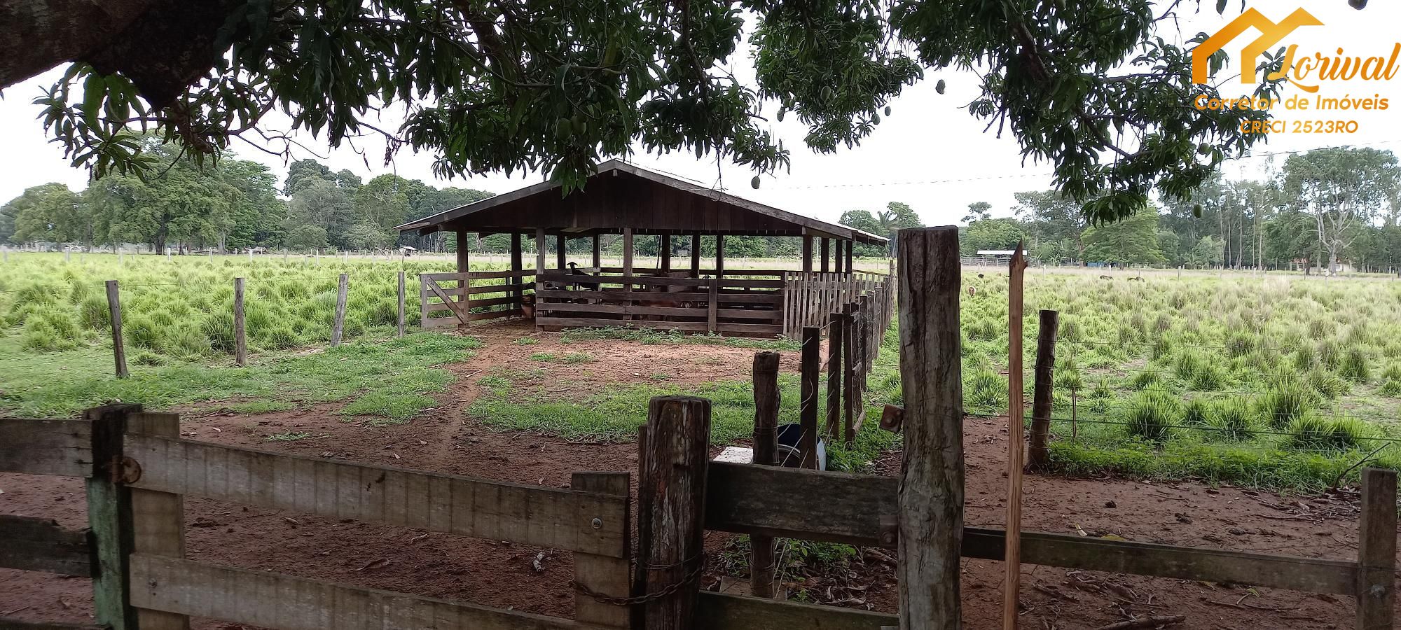 Fazenda à venda com 2 quartos, 157300m² - Foto 17