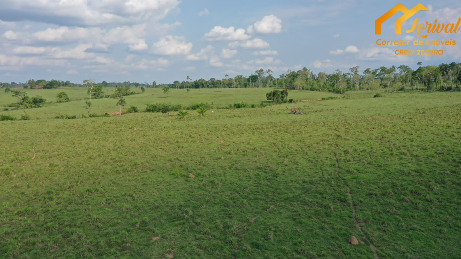 Fazenda à venda, 4580000m² - Foto 9