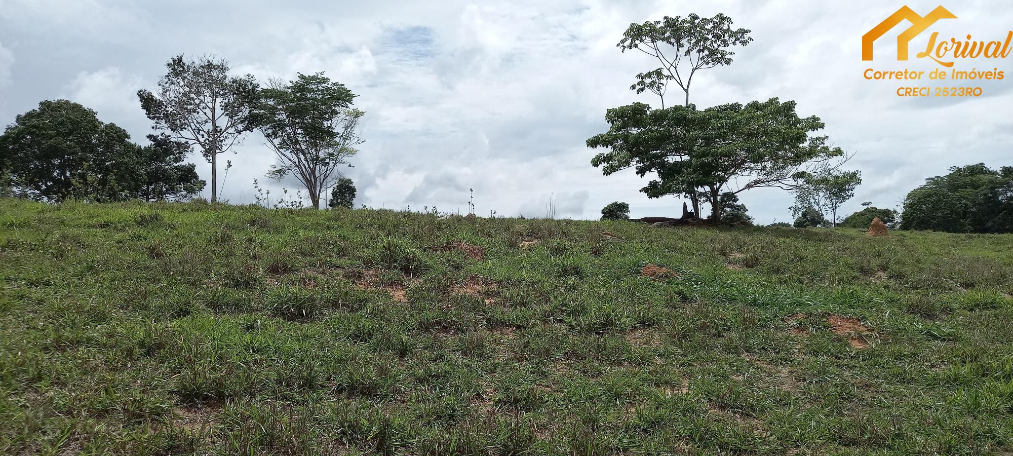 Fazenda à venda com 2 quartos, 157300m² - Foto 37