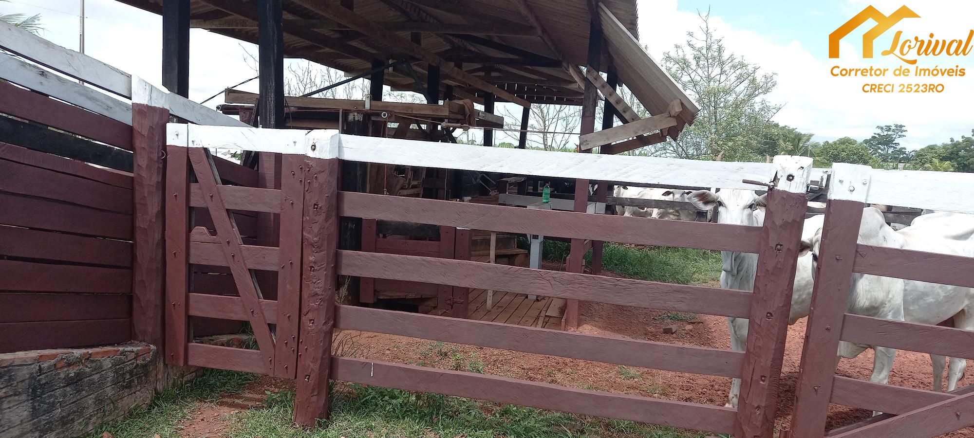 Sítio, 3 quartos, 242000 hectares - Foto 24