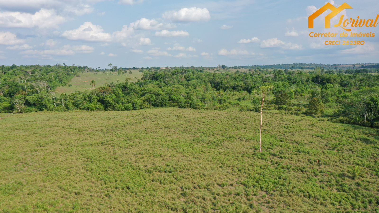 Fazenda-Sítio-Chácara, 458 hectares - Foto 2