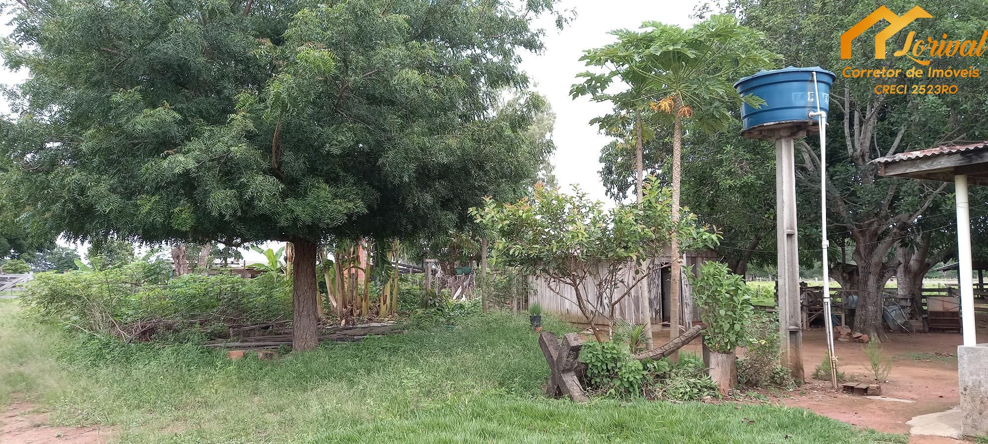 Fazenda à venda com 2 quartos, 1573000000m² - Foto 14