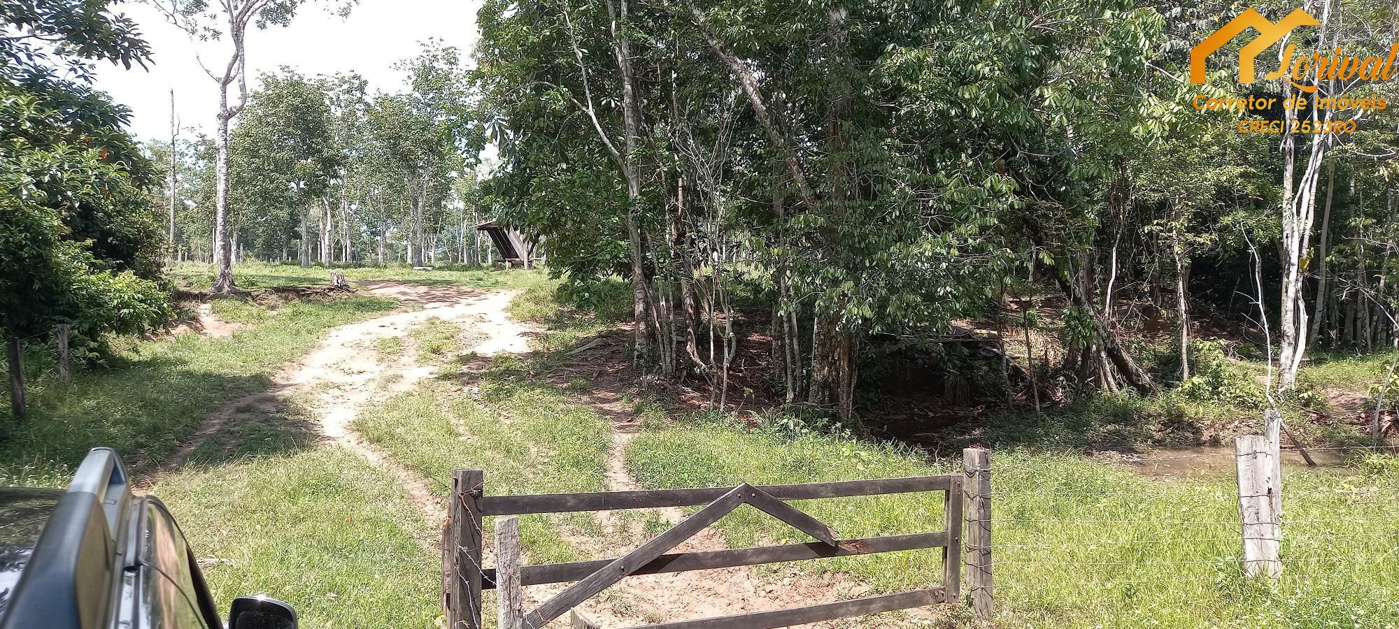 Sítio, 3 quartos, 242000 hectares - Foto 30