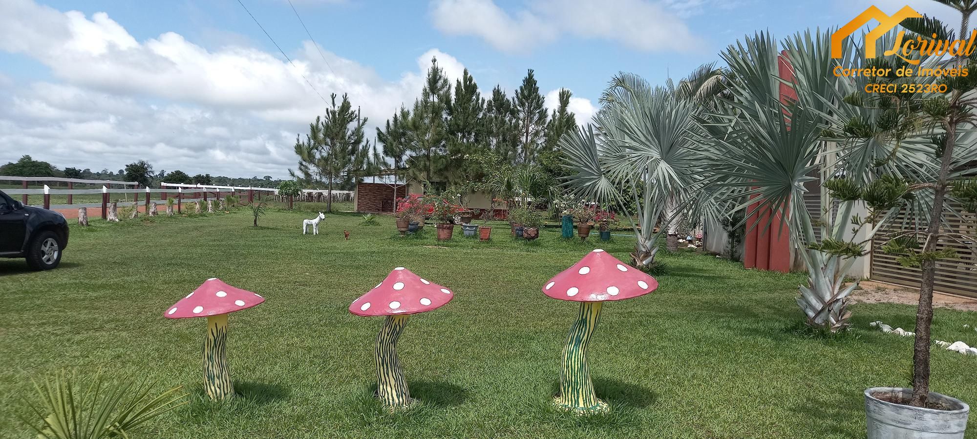 Sítio, 3 quartos, 242000 hectares - Foto 8