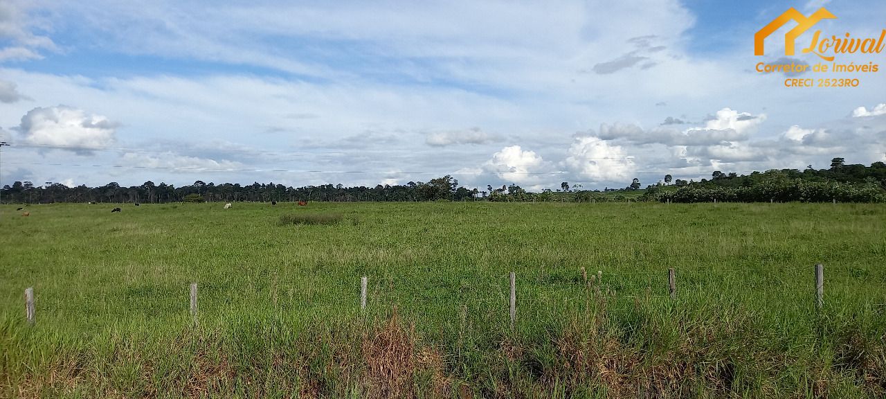 Fazenda à venda, 24200000000m² - Foto 41