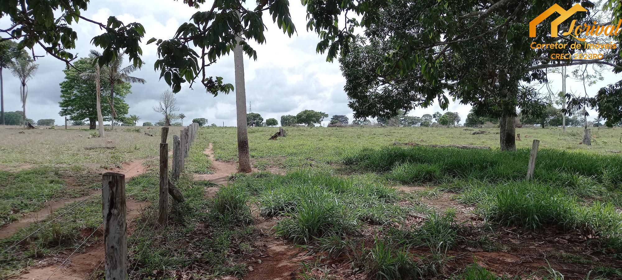 Fazenda à venda com 2 quartos, 157300m² - Foto 34