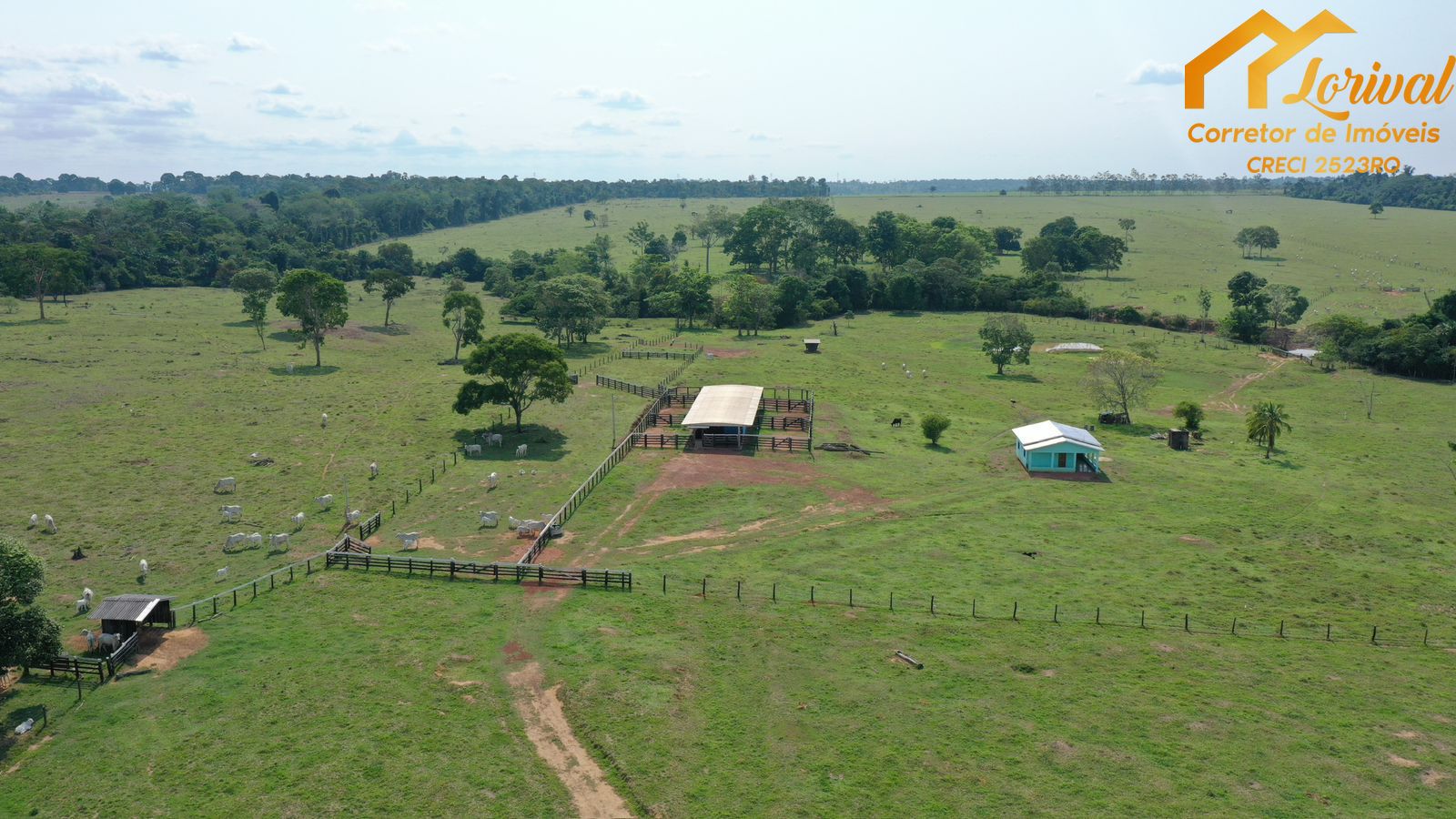 Fazenda-Sítio-Chácara, 204 hectares - Foto 1