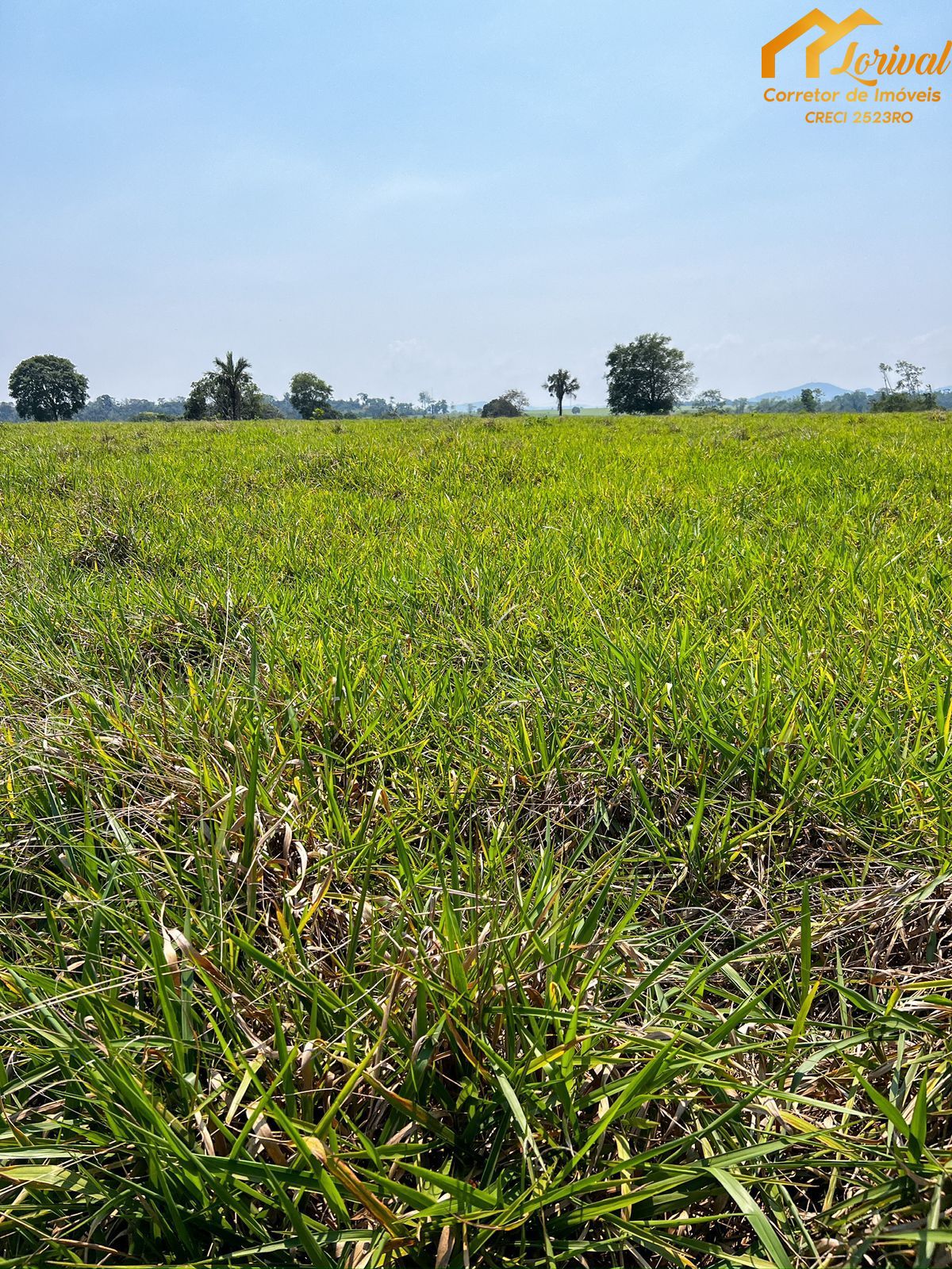 Fazenda à venda, 82400000000m² - Foto 17