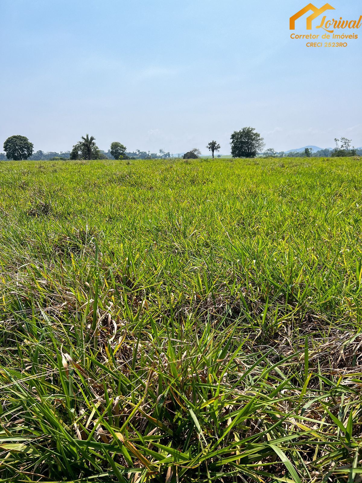 Fazenda à venda, 8240000m² - Foto 17