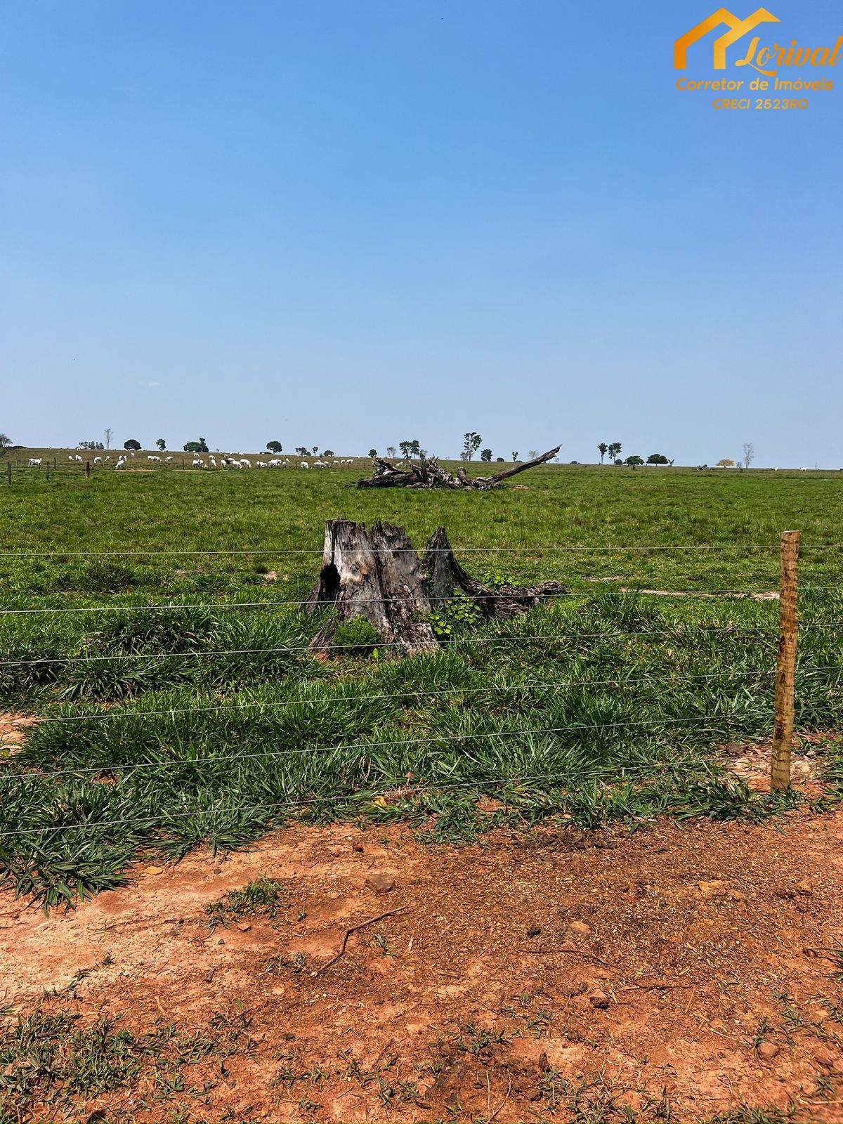 Fazenda à venda, 8240000m² - Foto 23