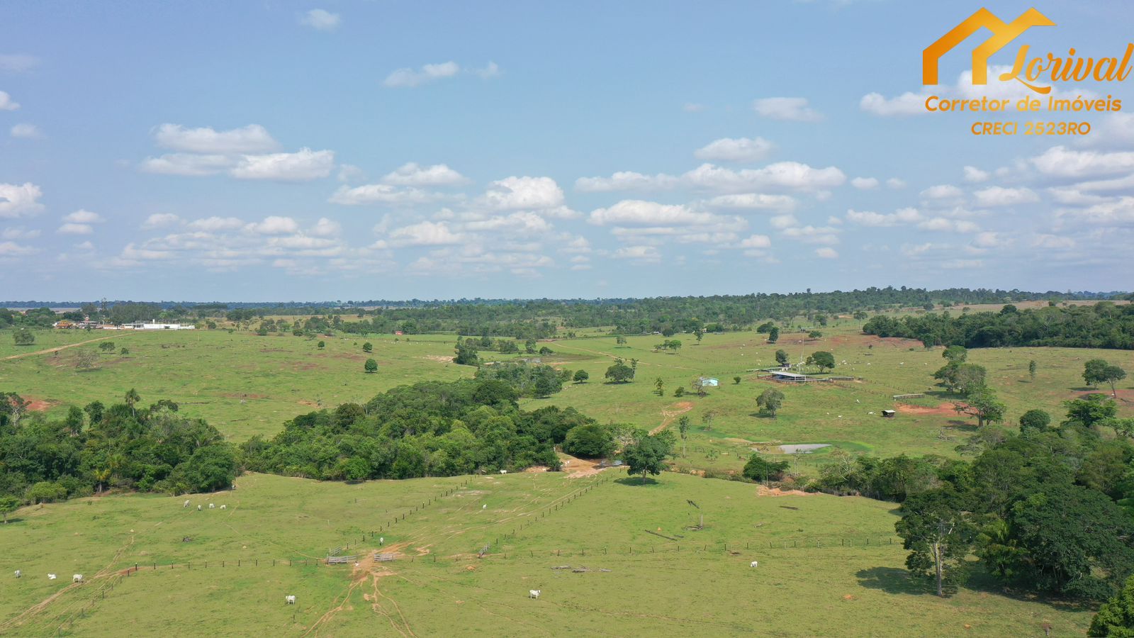 Fazenda-Sítio-Chácara, 204 hectares - Foto 3