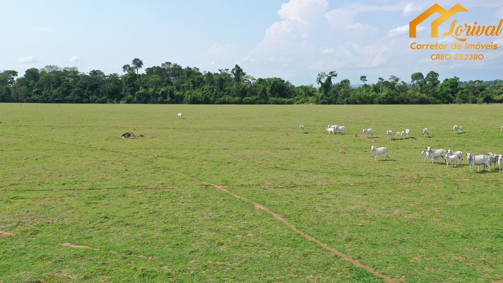 Fazenda à venda, 2040000m² - Foto 17