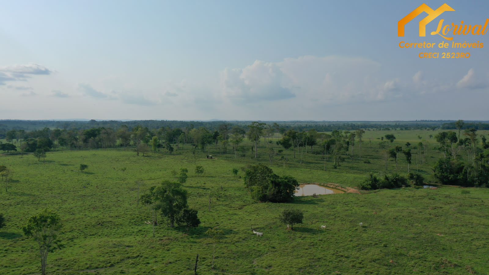 Fazenda à venda, 4580000m² - Foto 11