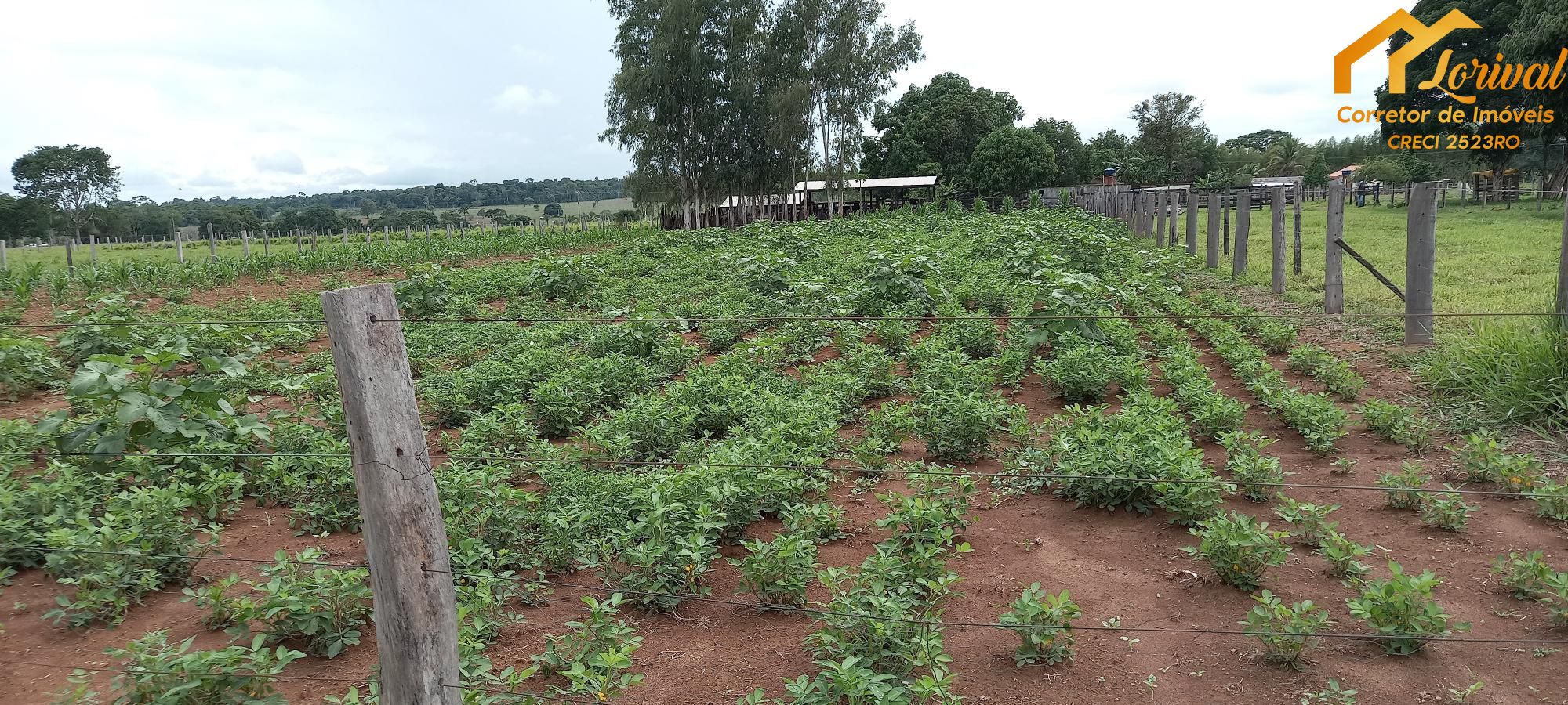 Fazenda à venda com 2 quartos, 157300m² - Foto 24