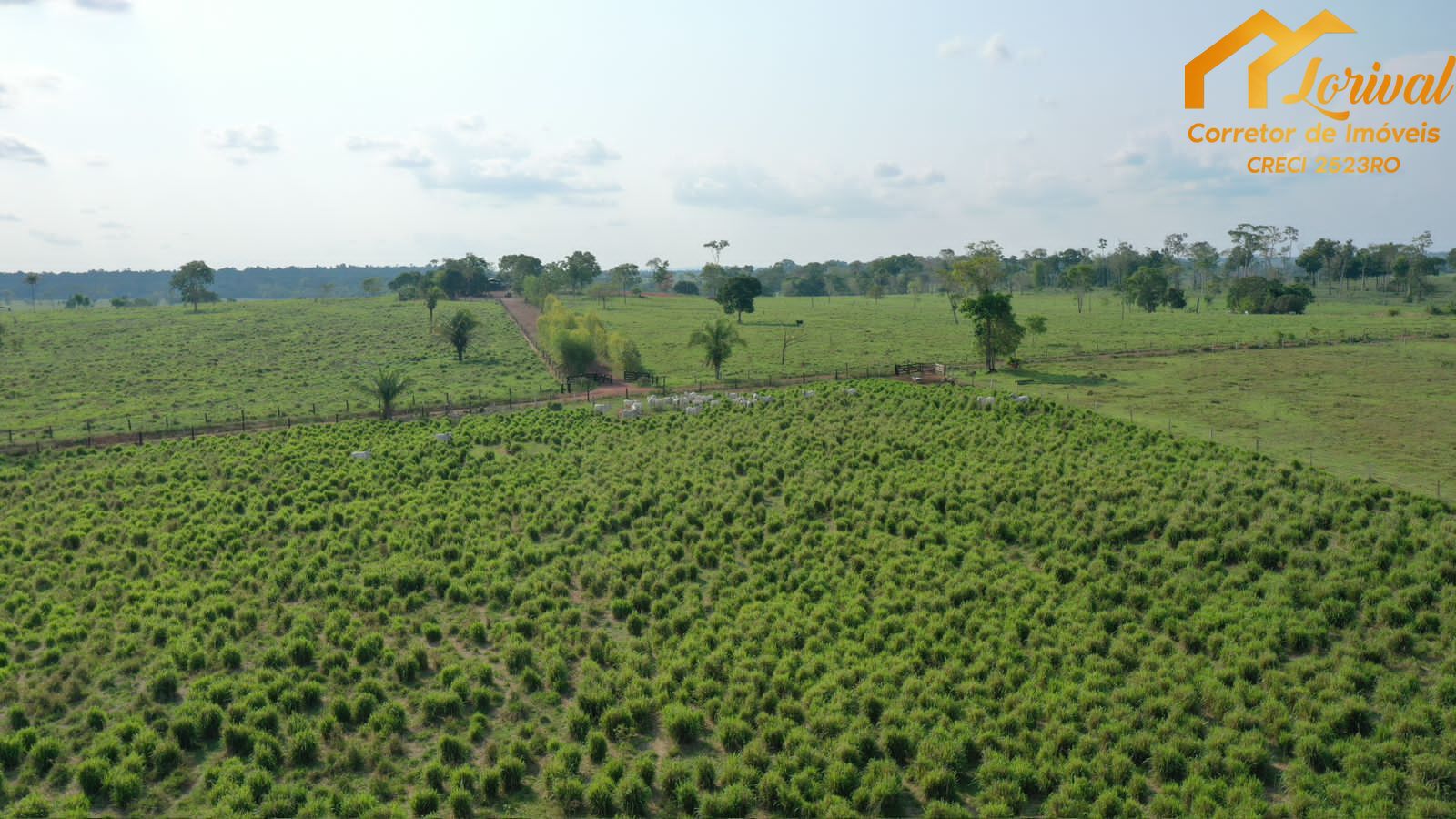 Fazenda à venda, 45800000000m² - Foto 17