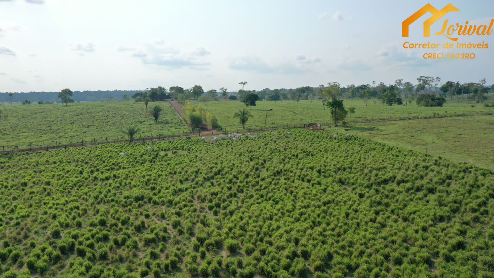 Fazenda à venda, 4580000m² - Foto 17